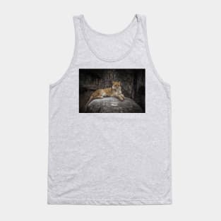 A Lioness Perch Tank Top